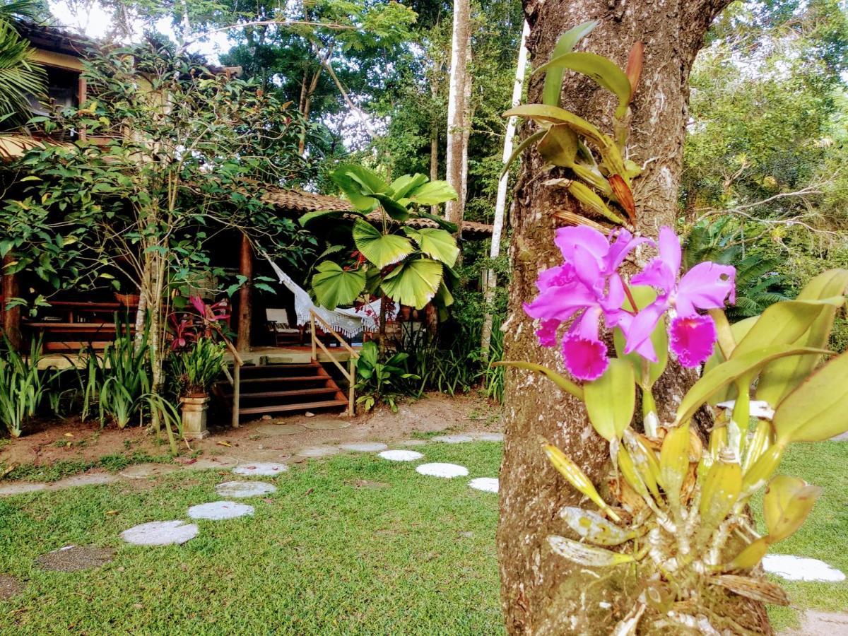 Casas Natureza Brasil *